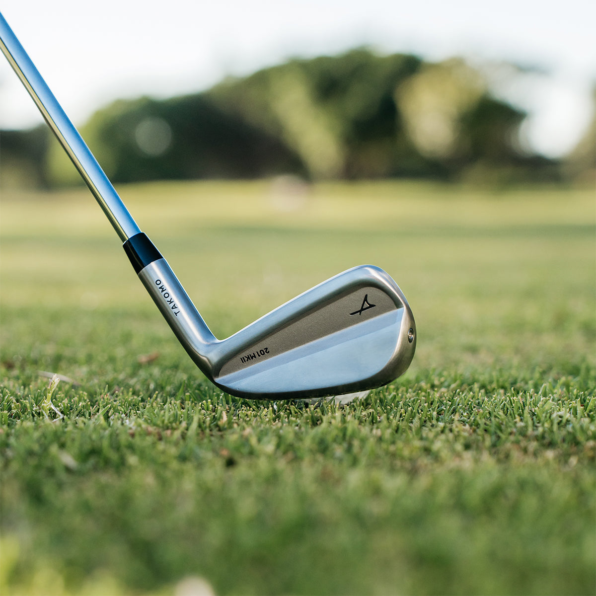 Takomo 201 MKII iron at address, on-course photograph